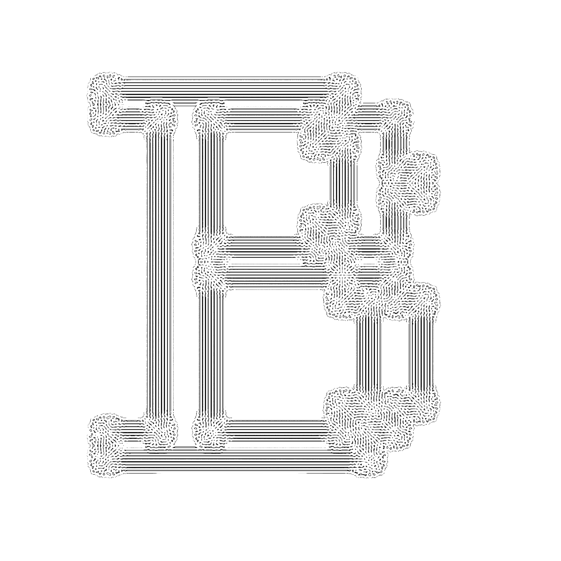 Portfolio Image 5